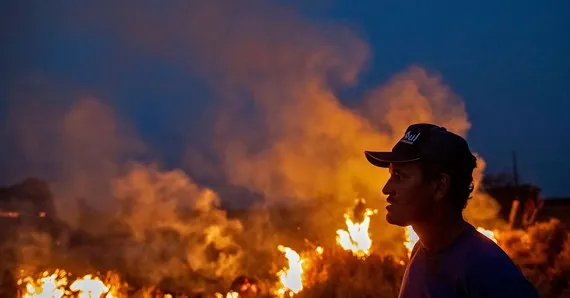 Cháy rừng Amazon: Brazil điều động cả máy bay chữa cháy