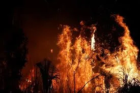 Brazil sẽ nhận hỗ trợ xử lý cháy rừng Amazon nhưng tự quyết cách sử dụng