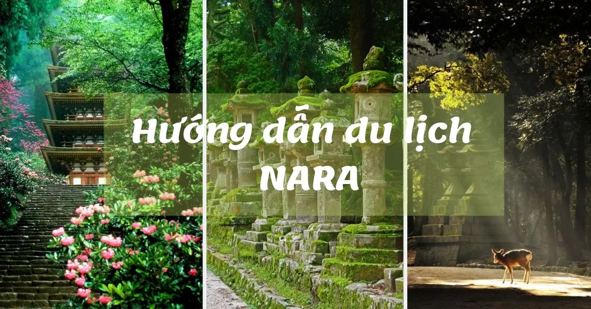 Trải nghiệm trọn vẹn du lịch Nara, Nhật Bản trong 1 ngày
