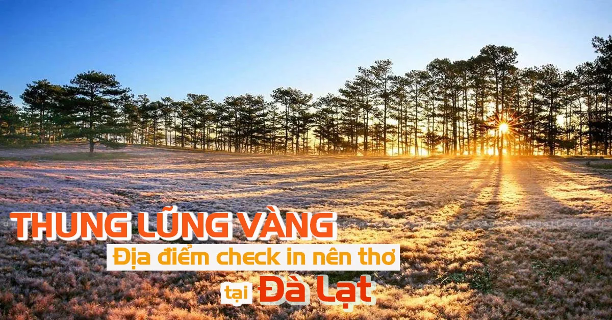 Thung Lũng Vàng - Địa điểm check in nên thơ tại Đà Lạt!