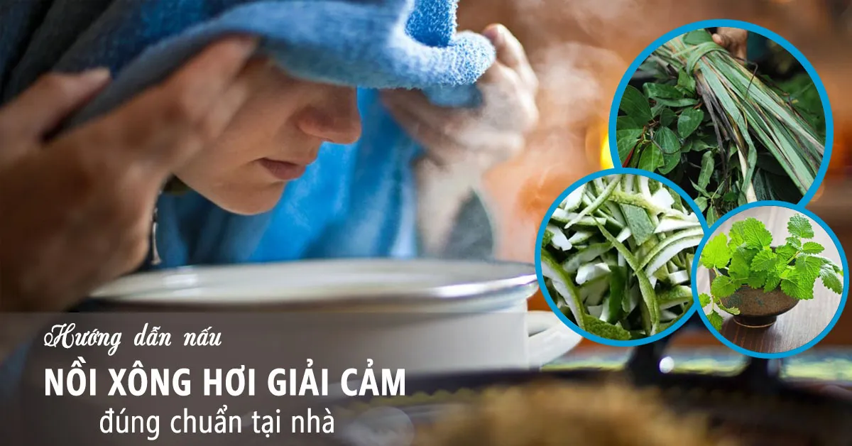 9 loại lá xông giải cảm tại nhà hiệu quả