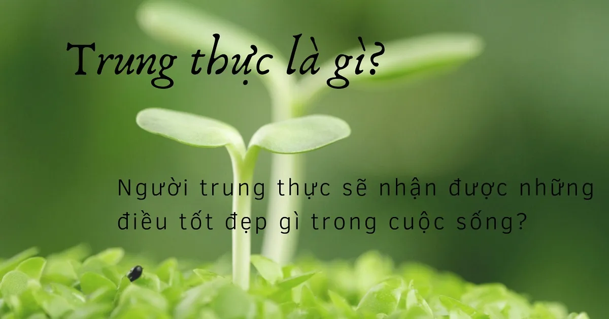 Trung thực là gì? Trung thực có giúp cuộc sống trở nên tốt hơn