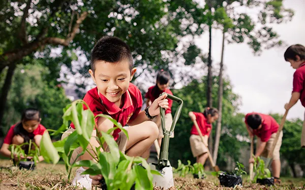 Năm học mới, khởi động Dự án môi trường Năm học xanh