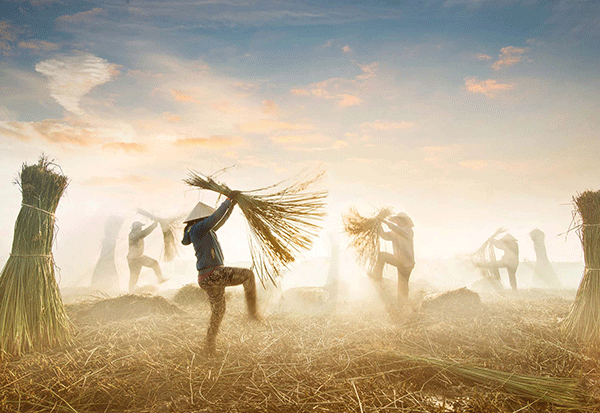 “Tự do” - Liên hoan Ảnh nghệ thuật được đông đảo tác giả tham dự