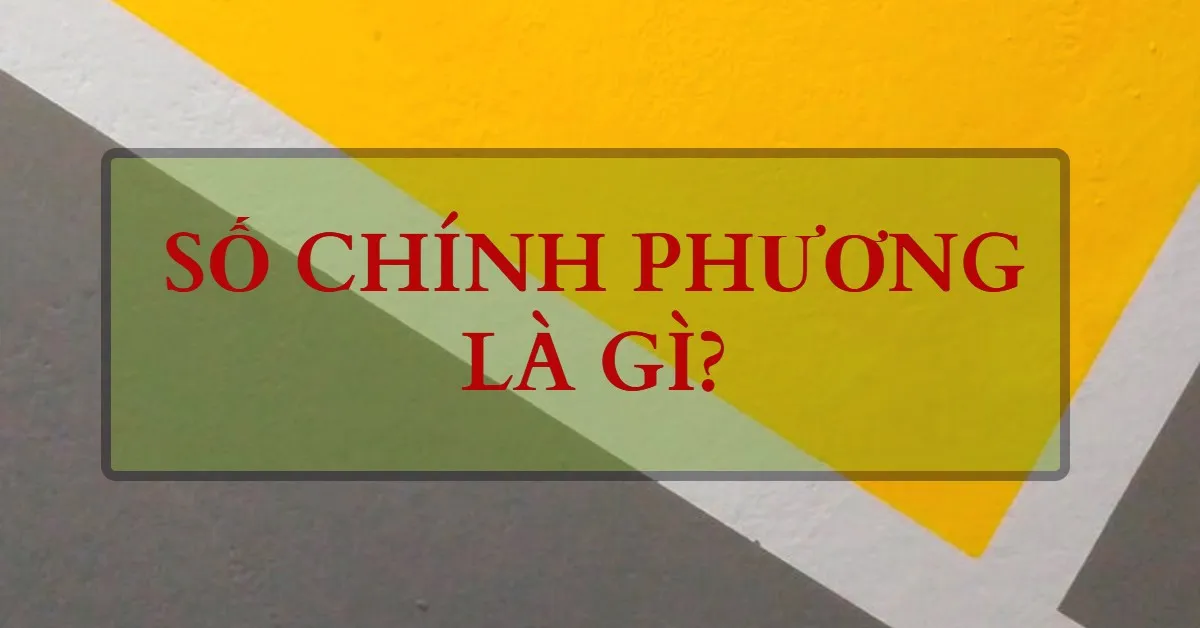 Số chính phương là gì? Cách nhận biết và ví dụ chi tiết