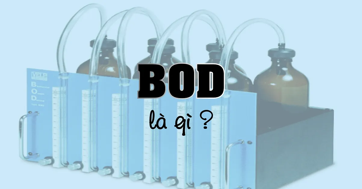 BOD là gì? Chức năng và nhiệm vụ của BOD