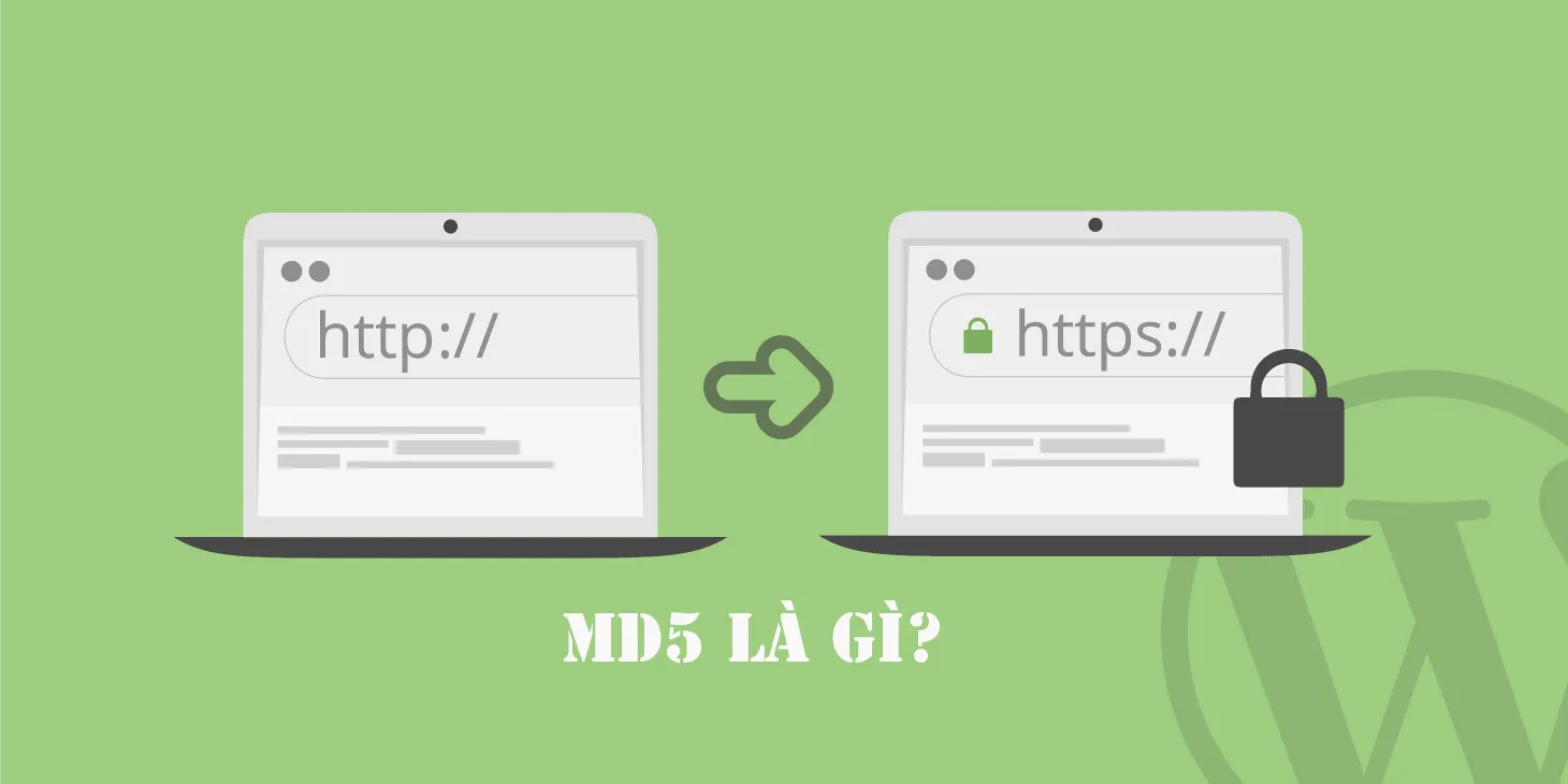 Mã MD5 là gì? Ứng dụng của mã MD5 trong bảo mật