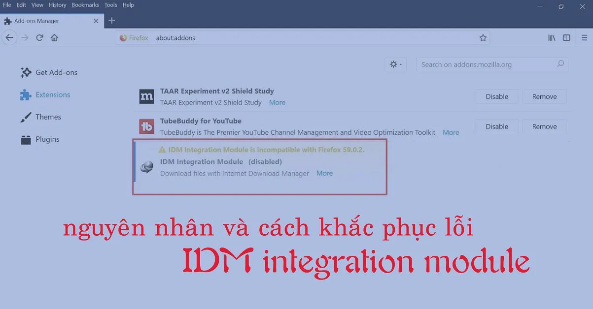 Những lỗi IDM Intergration Module thường gặp và cách khắc phục