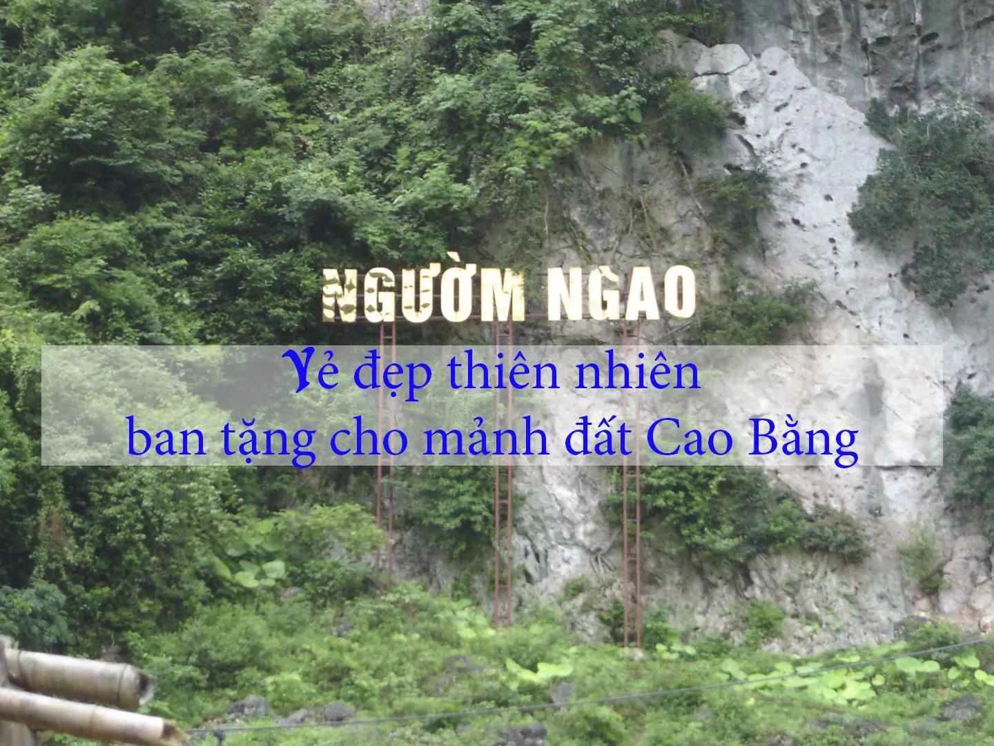 Động Ngườm Ngao – Vẻ đẹp thiên nhiên ban tặng mảnh đất Cao Bằng