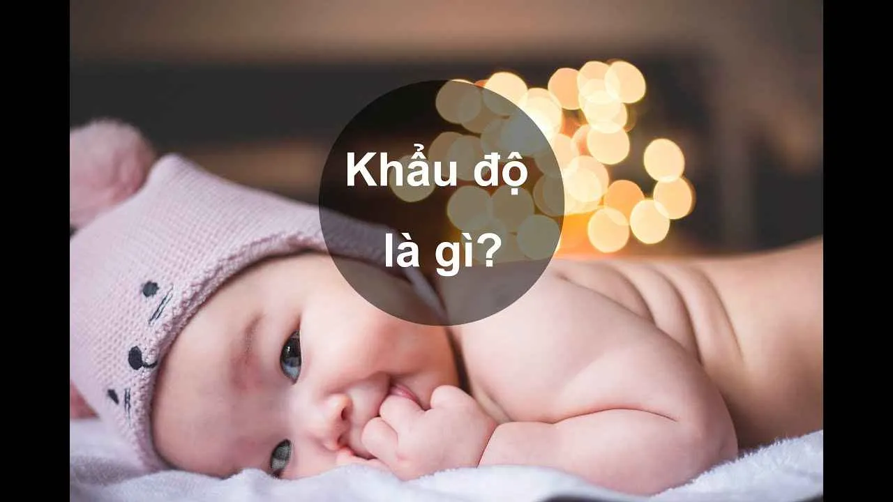 Khẩu độ là gì? Vai trò của khẩu độ trong máy ảnh?