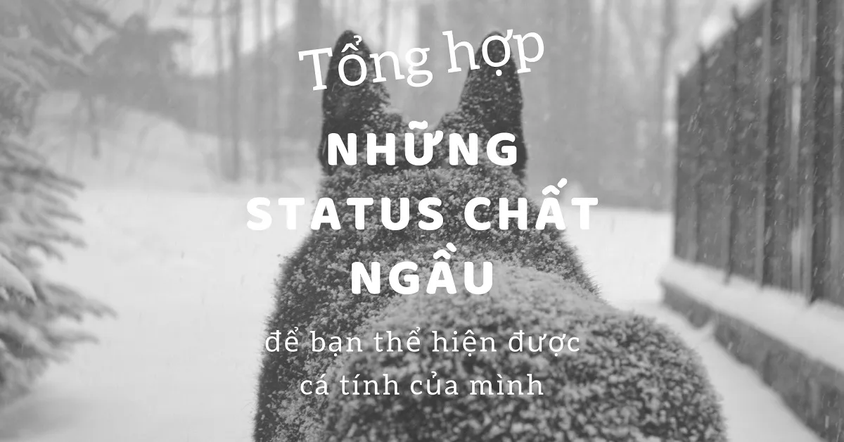 Status chất ngầu cá tính hay, cap về đời ngắn mà cực chất