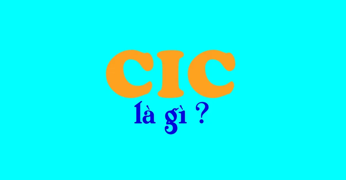 CIC là gì? Lịch sử tín dụng của bạn lưu trữ như thế nào?