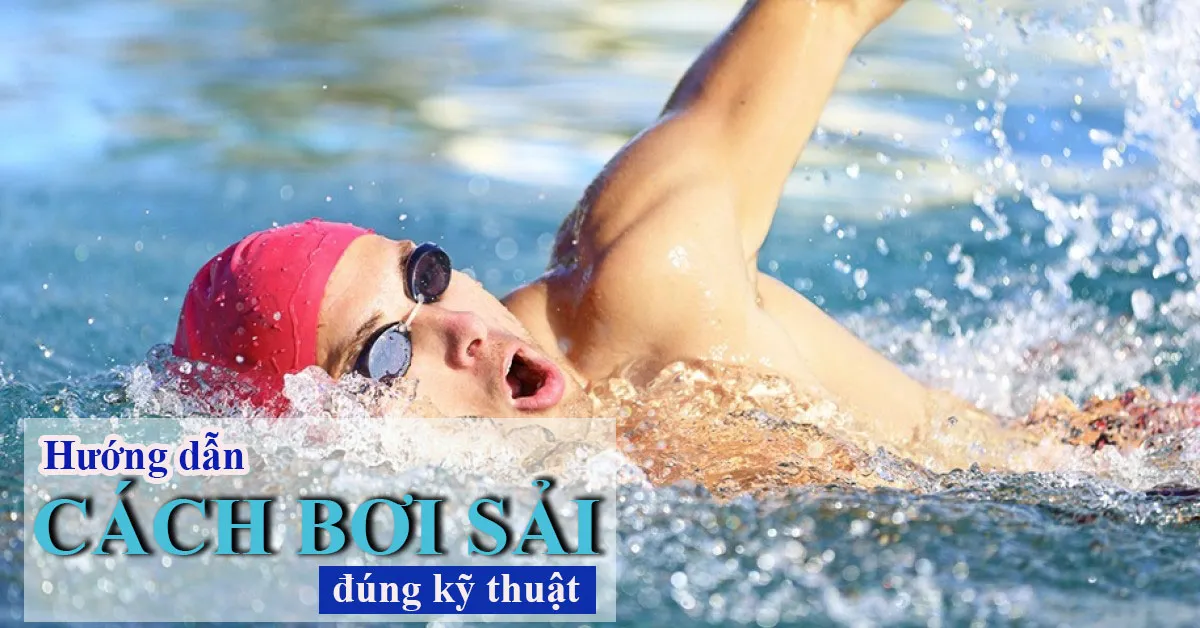 Cách bơi sải đúng kỹ thuật mà ai cũng cần biết
