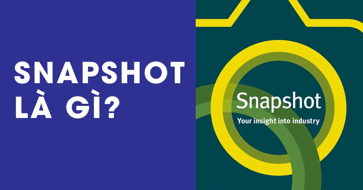 Snapshot là gì? Những lợi ích có được khi dùng snapshot
