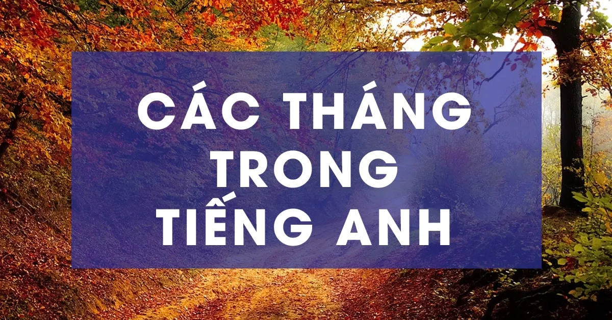 Ý nghĩa các tháng trong tiếng Anh và cách đọc chuẩn nhất