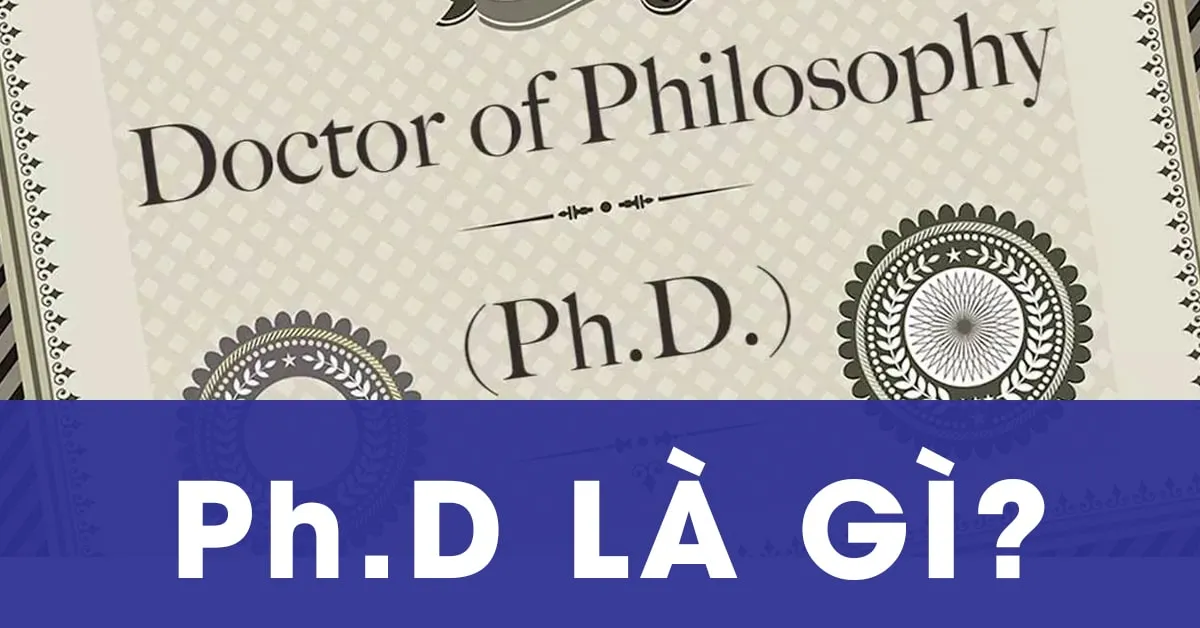 Ph.D là gì? Bằng Ph.D ở Việt Nam tương ứng là gì?