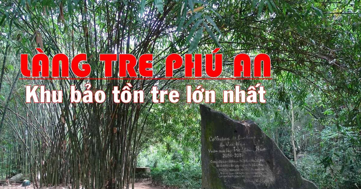 Điểm đổi gió ở địa điểm du lịch Làng tre Phú An - gần thành phố Hồ Chí Minh