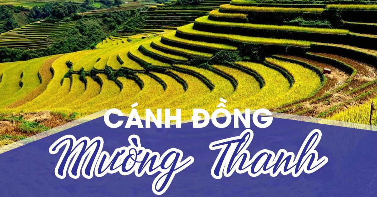 Cánh đồng Mường Thanh: Đặc sản du lịch Điện Biên