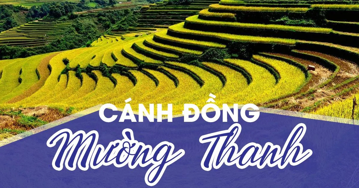 Cánh đồng Mường Thanh: Đặc sản du lịch Điện Biên