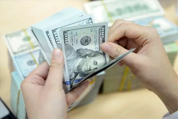 Các ngân hàng sẽ ngưng cho vay ngoại tệ trung và dài hạn từ ngày 1/10