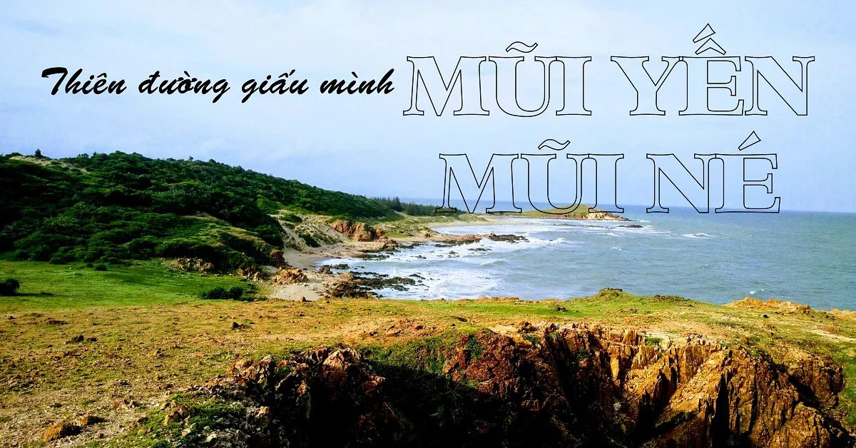 Đến Mũi Yến Bình Thuận - Nơi để thả hồn cùng mây gió