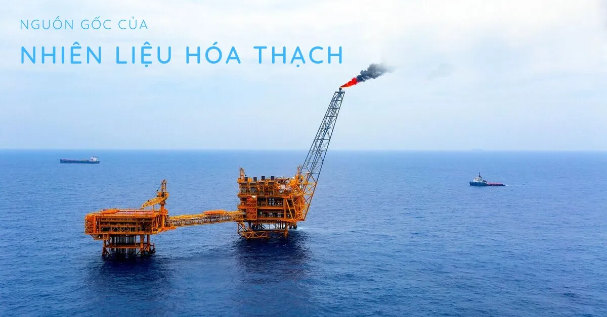 Hãy cùng tìm hiểu sự hình thành của nhiên liệu hóa thạch trên Trái đất