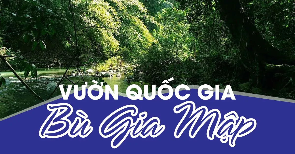 Cẩm nang tham quan vườn quốc gia Bù Gia Mập