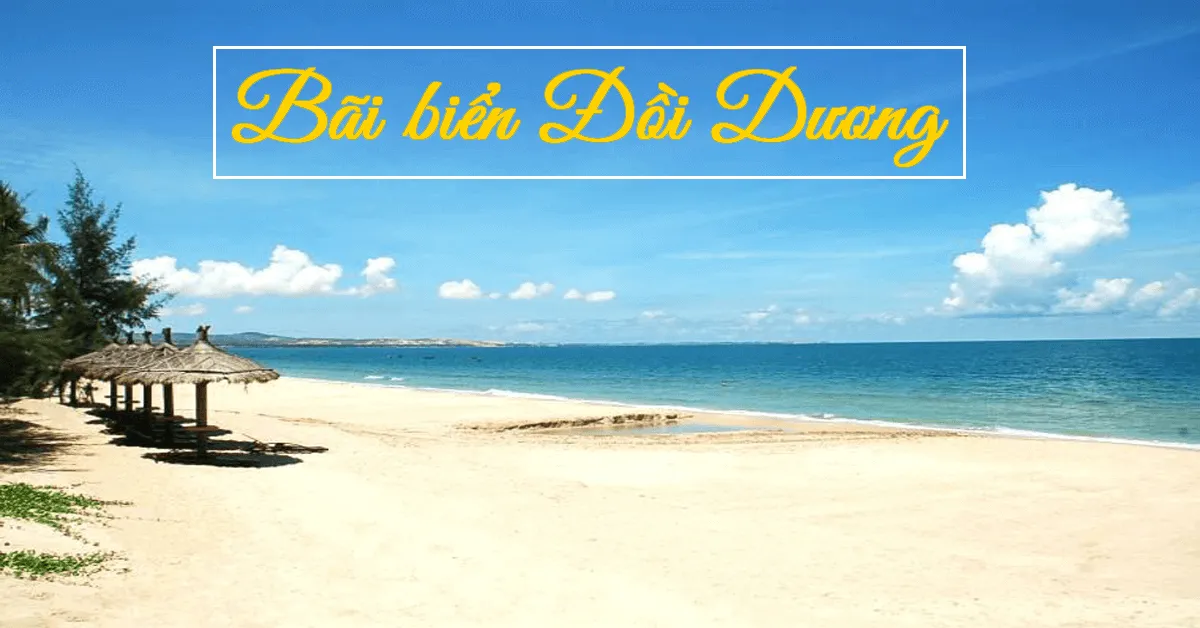 Bãi biển Đồi Dương, một điểm đến đầy hứa hẹn