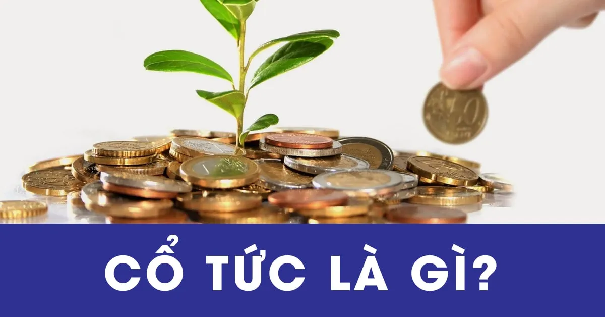 Cổ tức là gì? Các hình thức chia cổ tức cho cổ đông hiện nay