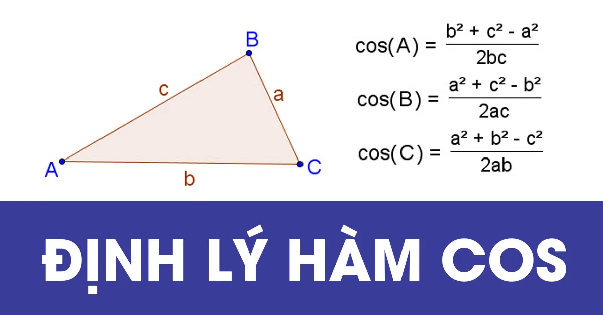 Định lý hàm số cosin và những kiến thức liên quan