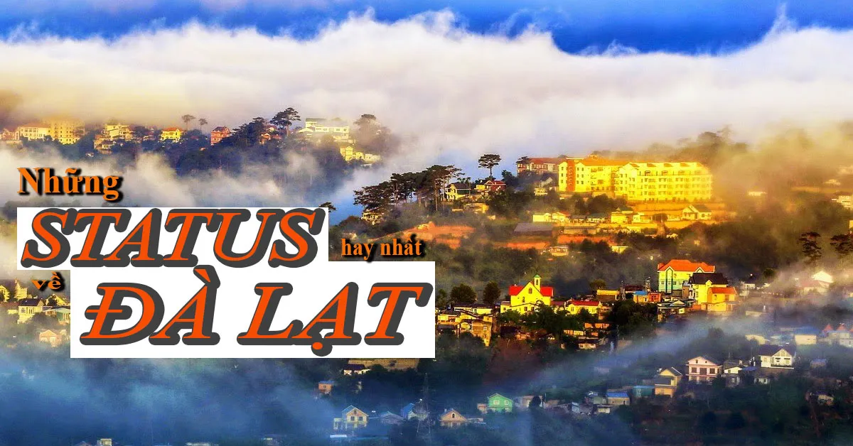 Status về Đà Lạt hay nhất, cap hay khi đi chơi Đà lạt