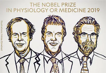 Giải Nobel Y học năm 2019 vinh danh 3 nhà khoa học nghiên cứu về tế bào