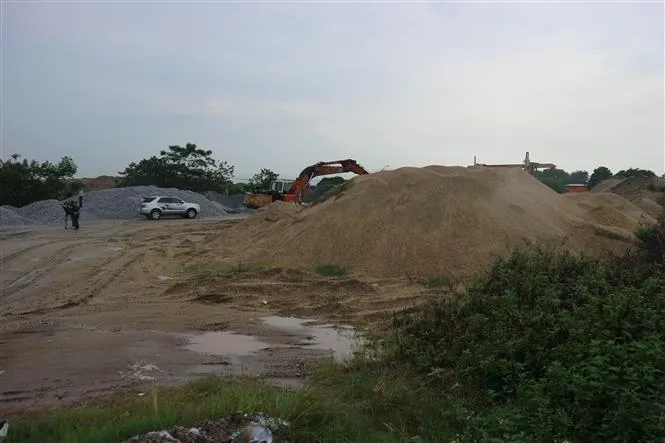 Thủ tướng chỉ thị tăng cường xử lý vi phạm pháp luật về đê điều