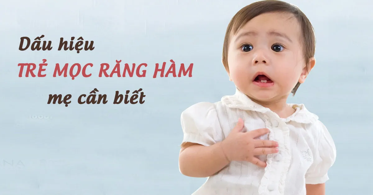 Trẻ mọc răng hàm: Dấu hiệu nhận biết và cách giúp trẻ giảm đau