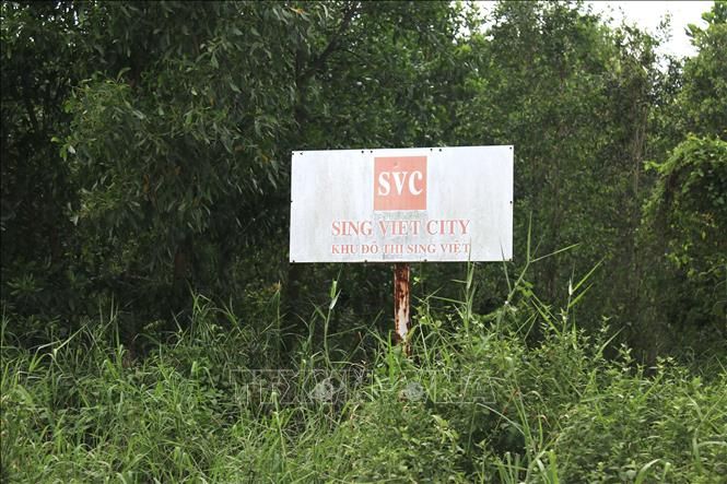 Giải quyết vướng mắc trong một số dự án tại TPHCM