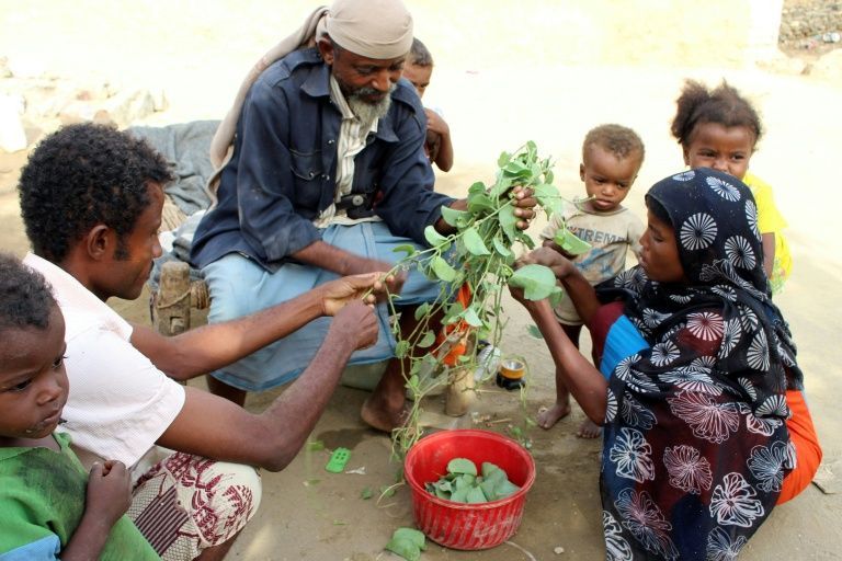 Yemen sẽ trở thành quốc gia nghèo nhất thế giới nếu chiến tranh còn tiếp diễn