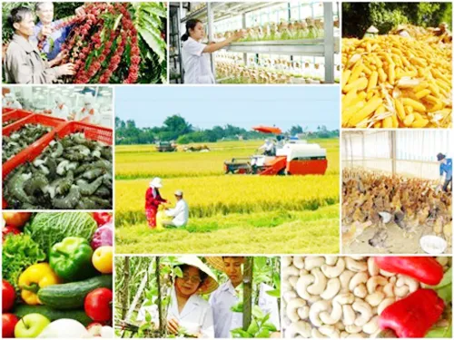 Chuẩn bi tổng kết 15 năm đổi mới, phát triển, nâng cao hiệu quả kinh tế tập thể