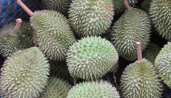 Giá cả thị trường hôm nay 10/10/2019: Sầu riêng khổ qua 70 ngàn đồng/kg