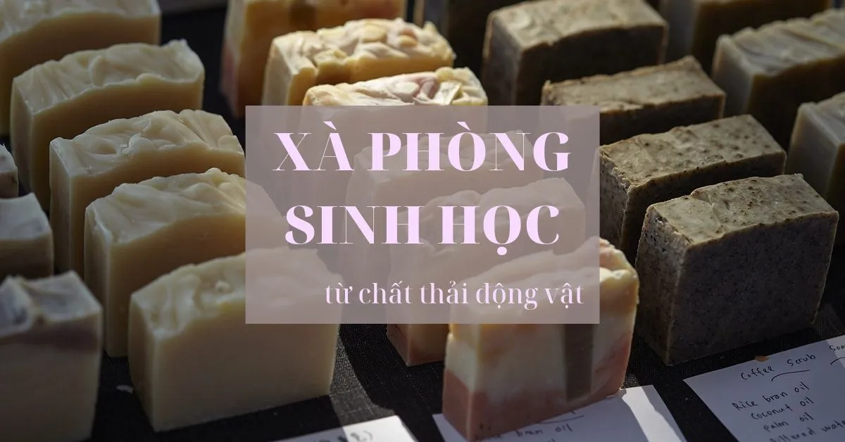 Nghiên cứu thành công xà phòng sinh học làm từ chất thải nông nghiệp