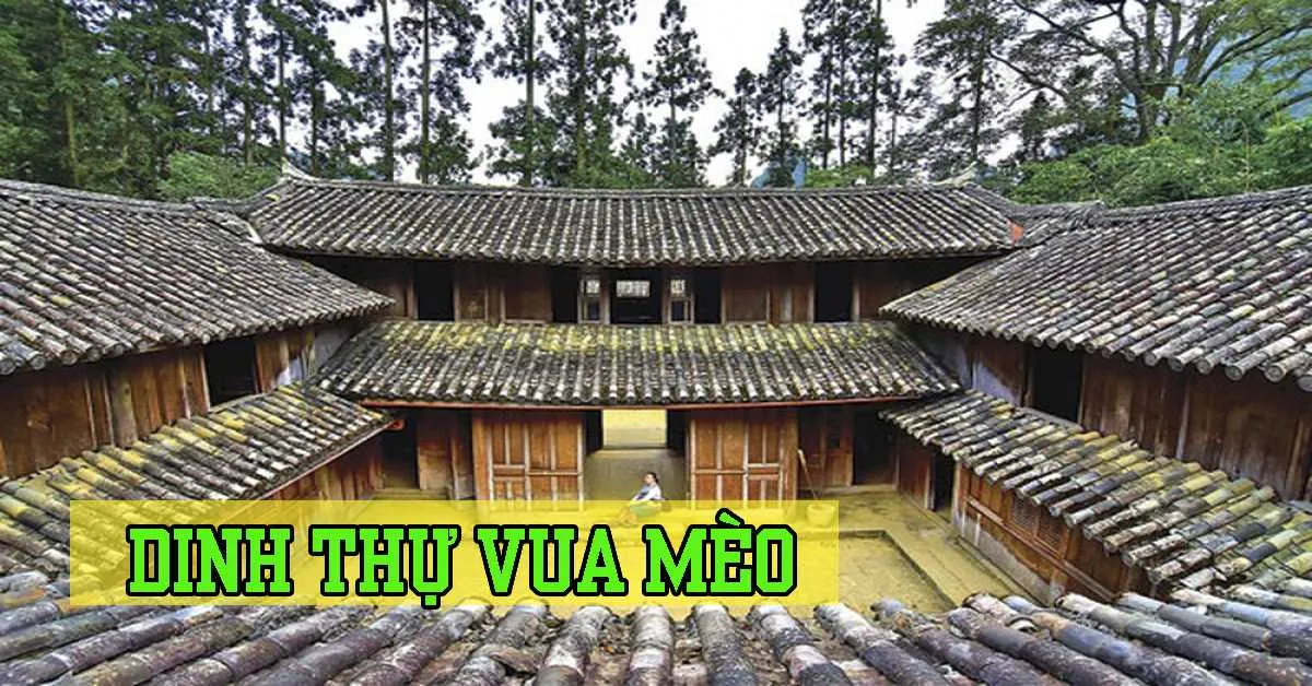 Khám phá mọi điều thú vị về dinh thự Vua Mèo