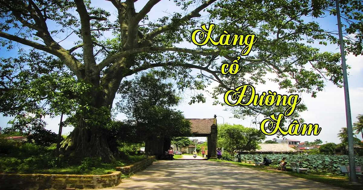 Làng Cổ Đường Lâm - địa điểm tham quan phải đi một lần trong đời