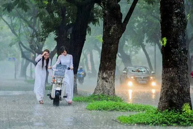 Dự báo thời tiết ngày mai 16/10: Trung Bộ có mưa diện rộng