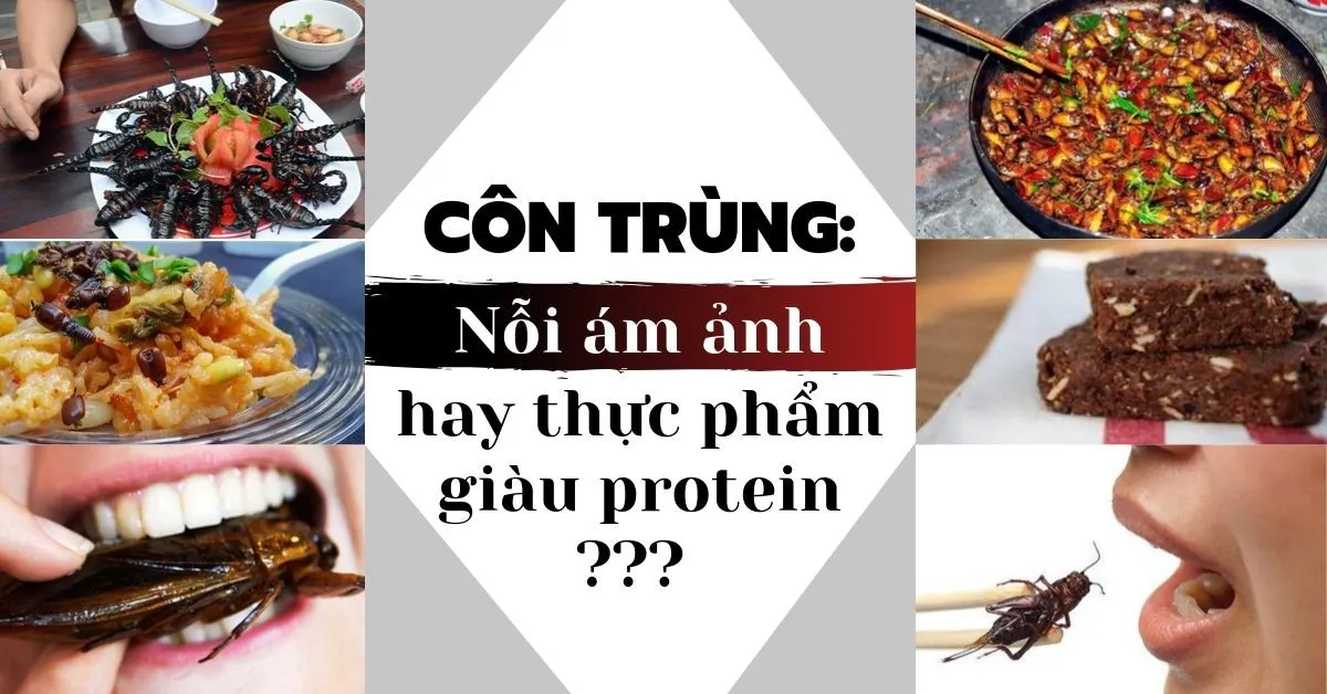 Cách mạng đồ ăn: Côn trùng là thực phẩm của tương lai