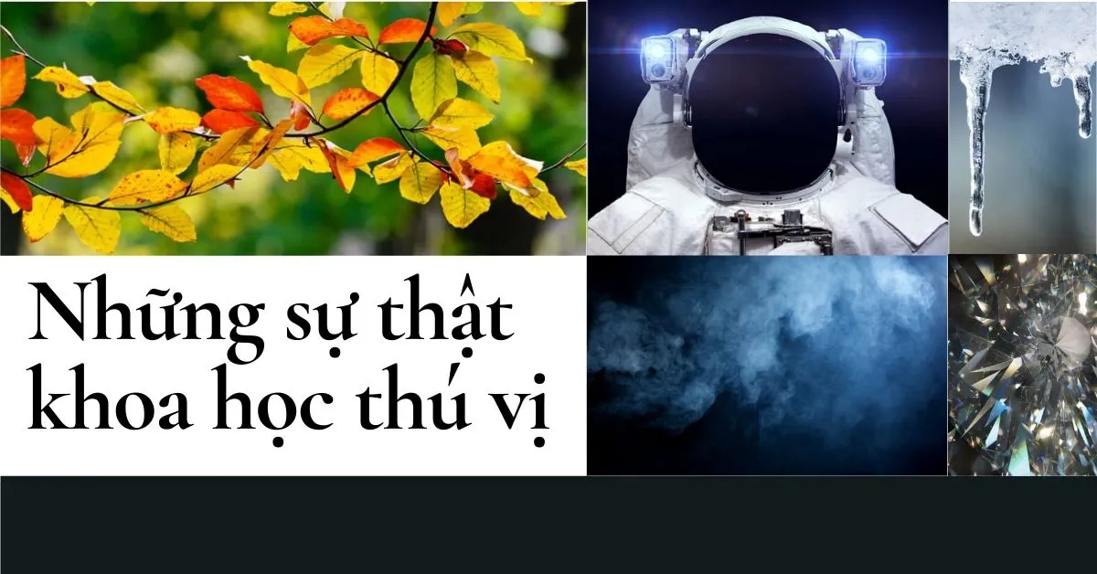 15 sự thật khoa học thú vị có thể bạn chưa biết (phần 2)