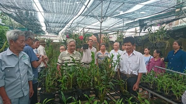 Hỗ trợ và khuyến khích phát triển nghề trồng lan ở quận 9 và Thủ Đức