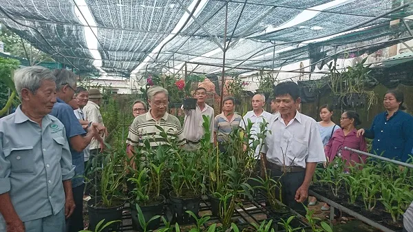 Hỗ trợ và khuyến khích phát triển nghề trồng lan ở quận 9 và Thủ Đức