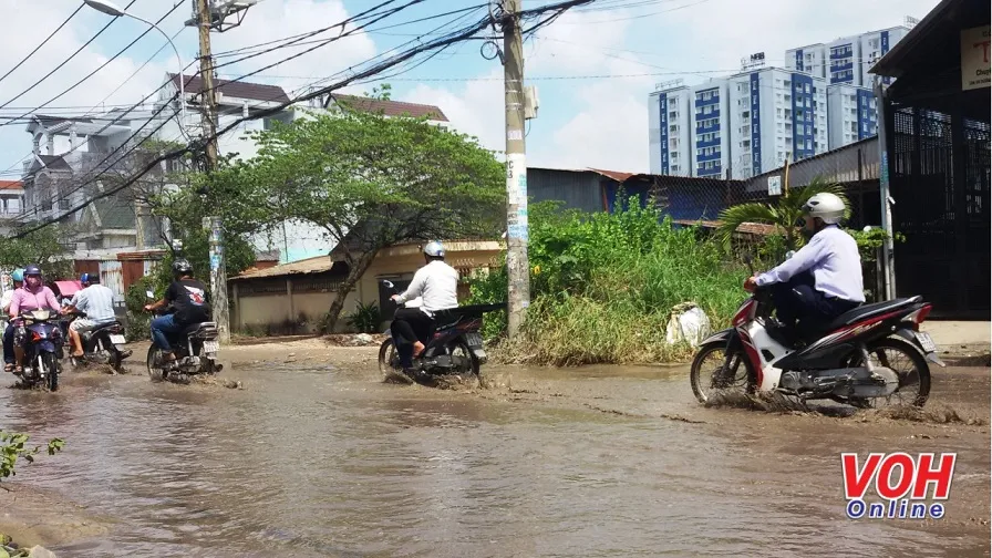 Cuối tháng 10, Sài Gòn lại đối mặt triều cường trên báo động 3 từ 0,20 - 0,25m