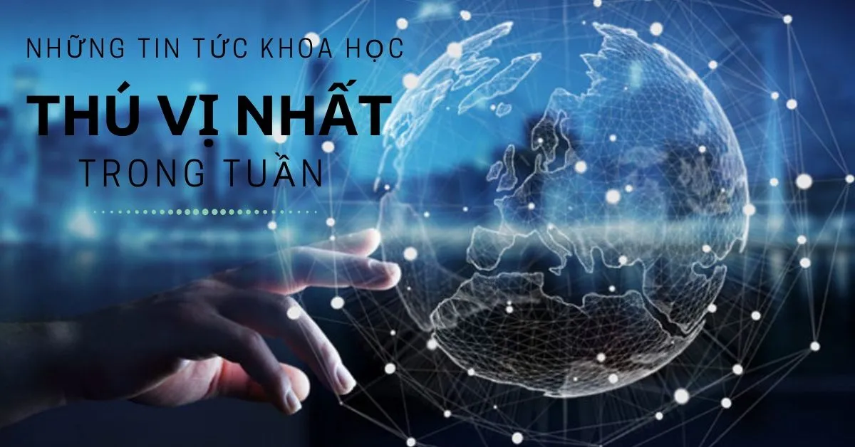 Những tin tức khoa học thú vị nhất tuần qua 19/10- 26/10/2019