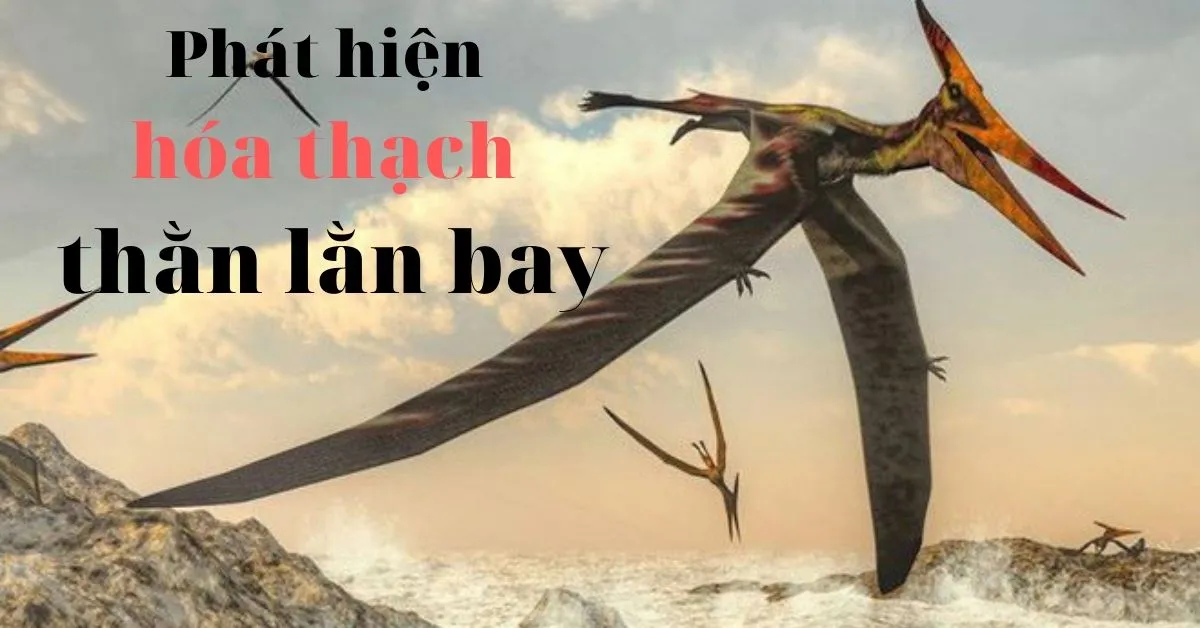 Phát hiện hóa thạch của loài bò sát biết bay ở Úc