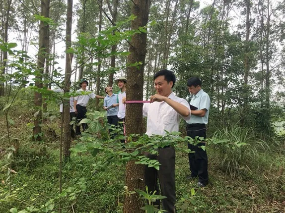 Tổng kết việc sắp xếp, đổi mới các công ty nông, lâm nghiệp